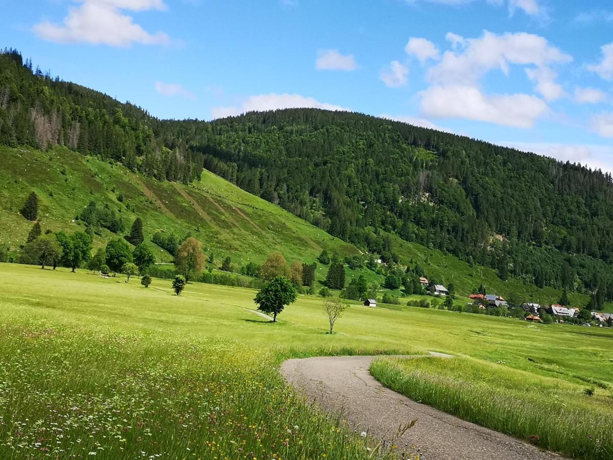Ferienwohnung B1 für bis zu 5 Personen Menzenschwand-Hinterdorf Exterior foto