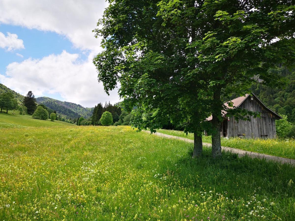 Ferienwohnung B1 für bis zu 5 Personen Menzenschwand-Hinterdorf Exterior foto