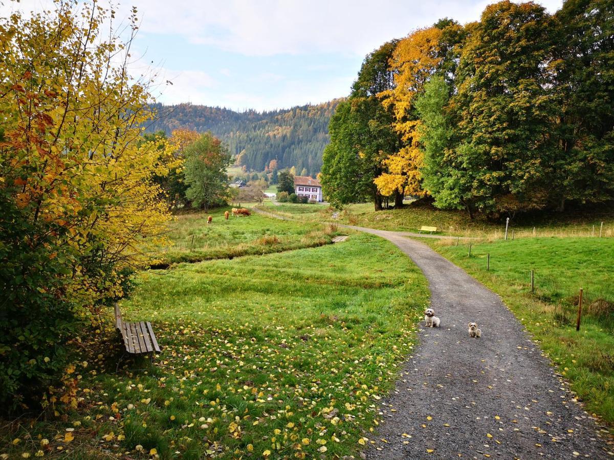 Ferienwohnung B1 für bis zu 5 Personen Menzenschwand-Hinterdorf Exterior foto