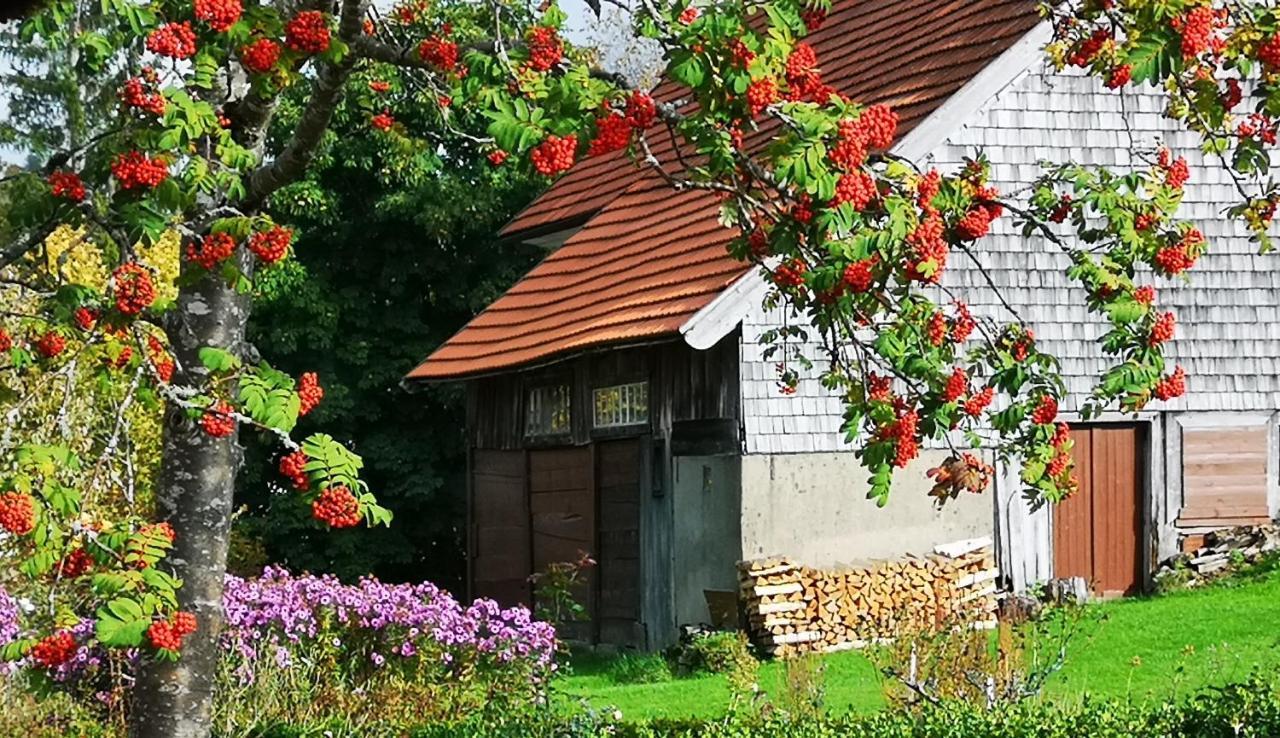 Ferienwohnung B1 für bis zu 5 Personen Menzenschwand-Hinterdorf Exterior foto