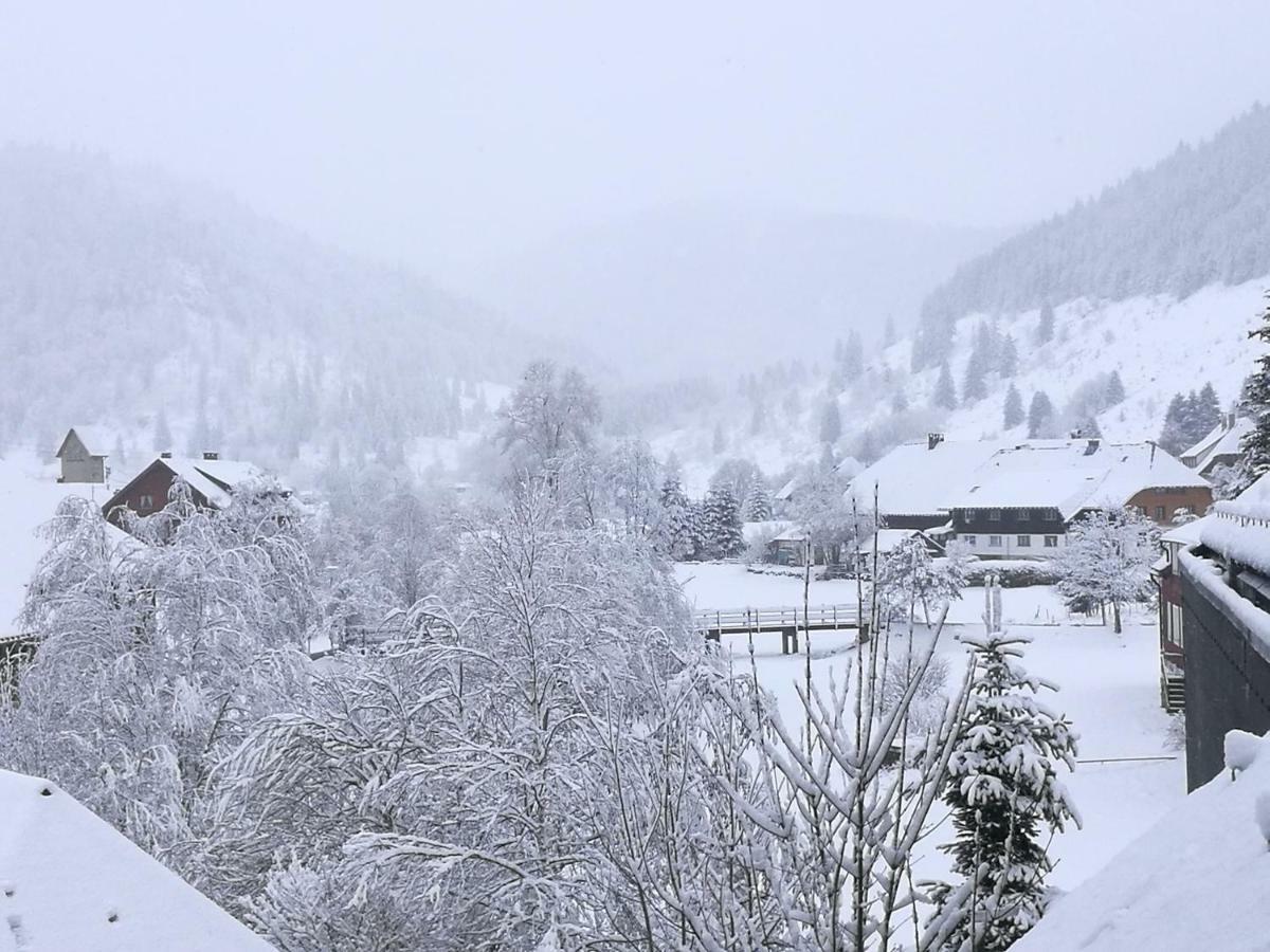 Ferienwohnung B1 für bis zu 5 Personen Menzenschwand-Hinterdorf Exterior foto